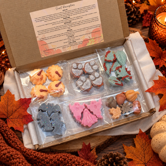 Wax Melt Bundle - September Box 9 - 6 x wax melt shapes